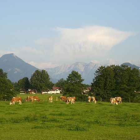 Gasthaus Kellerer Raubling Eksteriør bilde